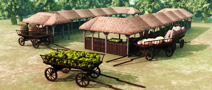 Medieval Ukraine Market 3D